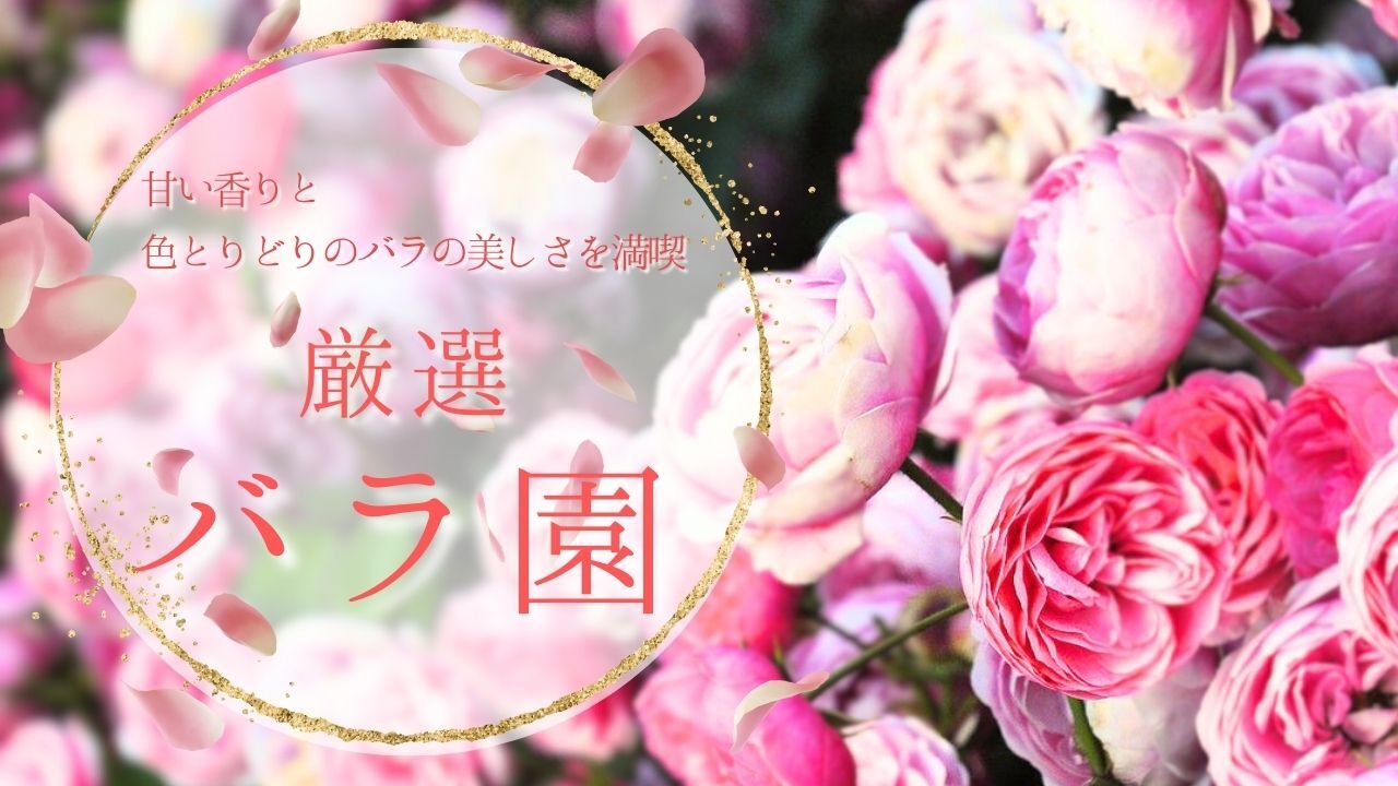 投稿サムネイル